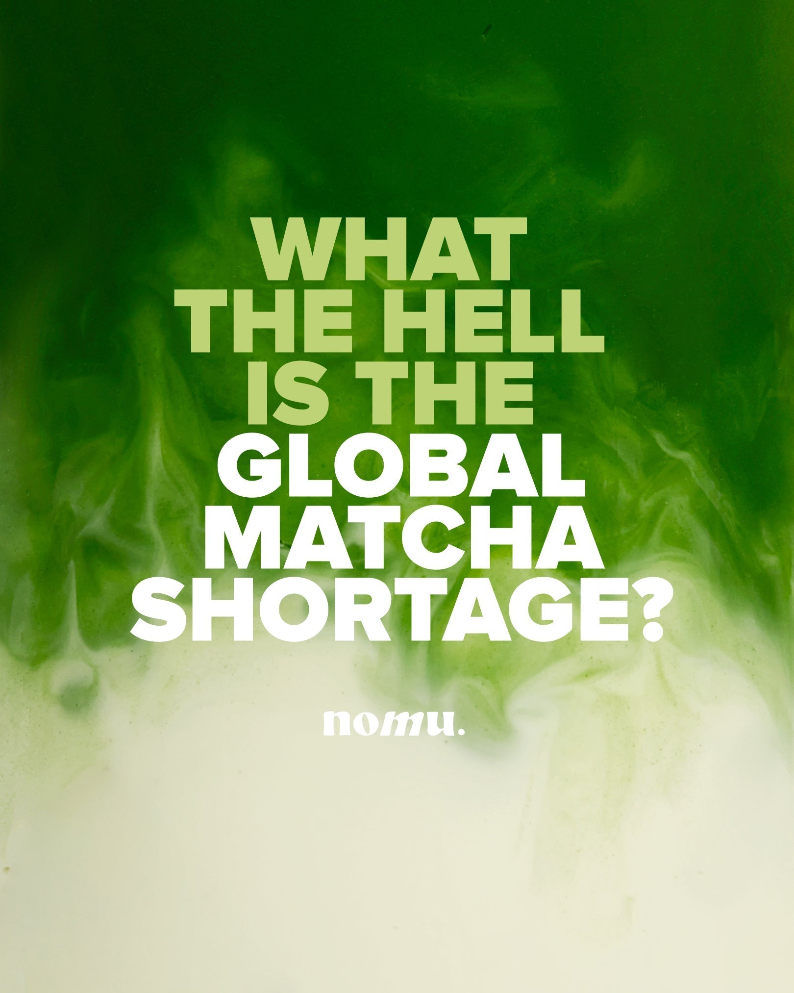 Matcha Shortages Explained: Why Supply Can’t Keep Up (And Why Nomu Refuses to Cut Corners)